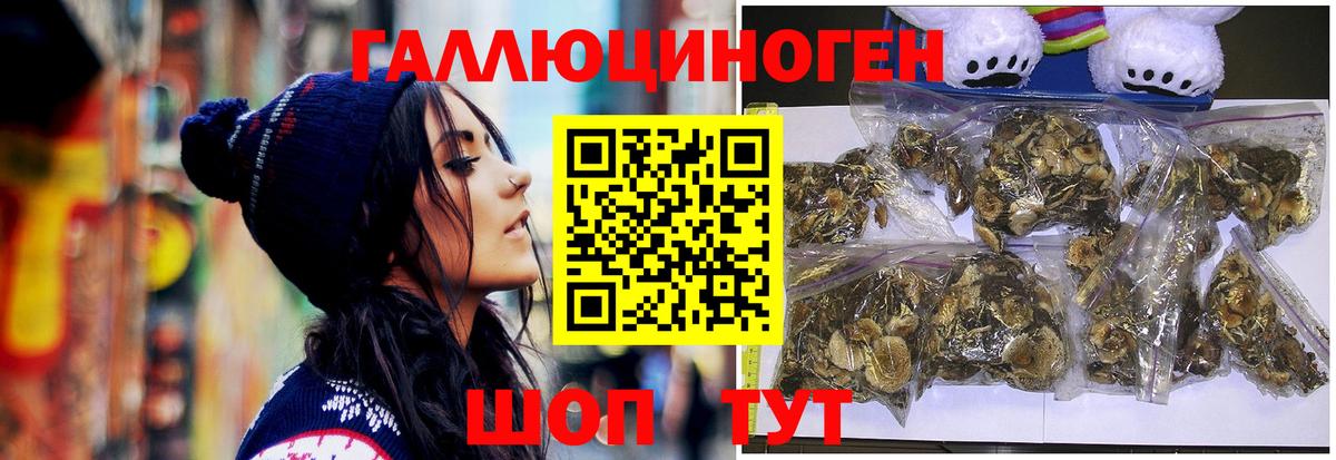 Псилоцибиновые грибы GOLDEN TEACHER Мыски